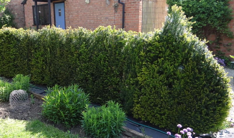 Garden Cottage & Walled Kitchen Garden